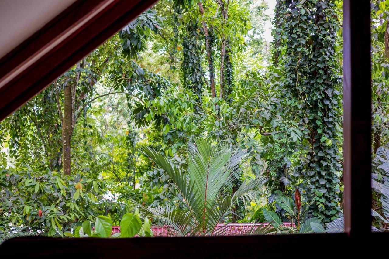 Namuwoki Lodge Puerto Viejo de Talamanca Zewnętrze zdjęcie