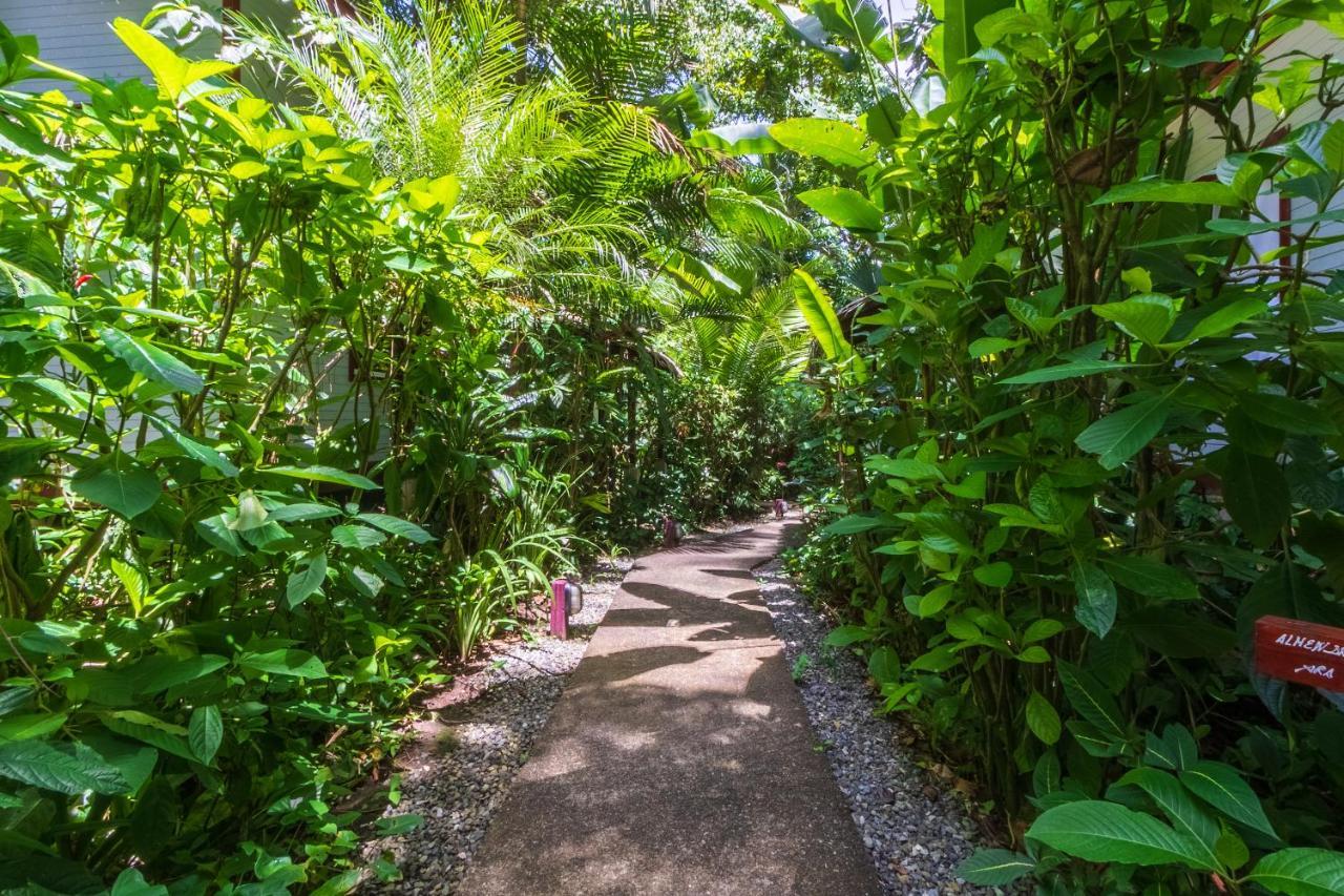 Namuwoki Lodge Puerto Viejo de Talamanca Zewnętrze zdjęcie
